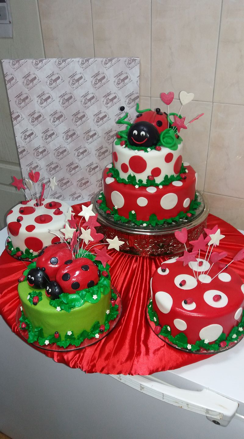 16587170_1093165117477122_9053114303312645217_o (1).jpg